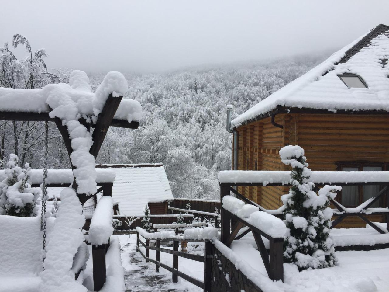 Hotel Sadyba Sribne Dzherelo Ilnytsya Esterno foto