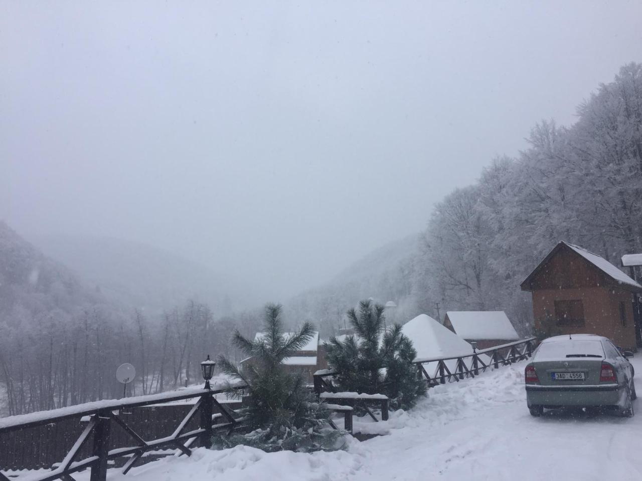 Hotel Sadyba Sribne Dzherelo Ilnytsya Esterno foto