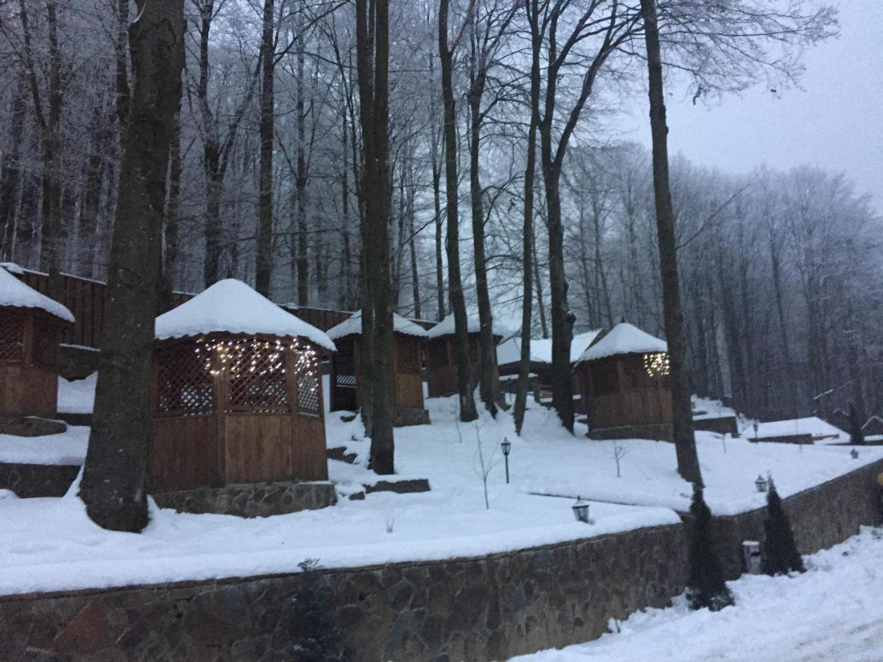 Hotel Sadyba Sribne Dzherelo Ilnytsya Esterno foto