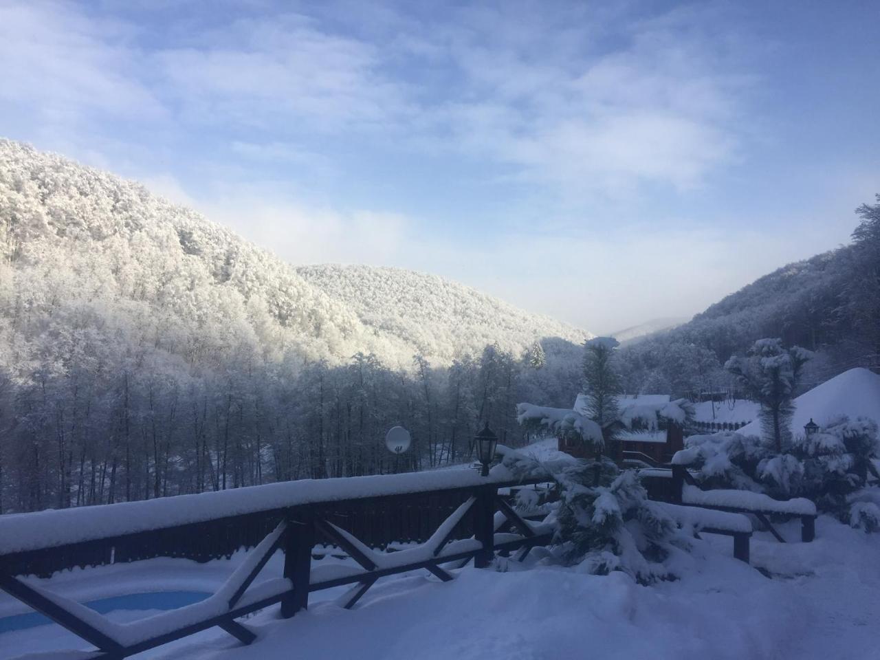 Hotel Sadyba Sribne Dzherelo Ilnytsya Esterno foto